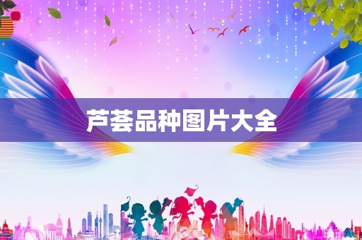 芦荟品种图片大全