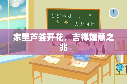 家里芦荟开花，吉祥如意之兆