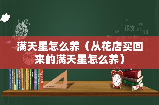 满天星怎么养（从花店买回来的满天星怎么养）