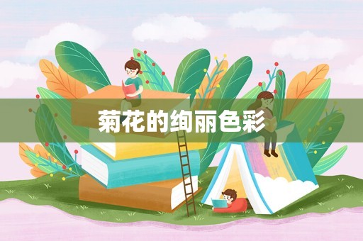 菊花的绚丽色彩