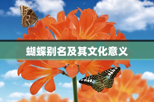 蝴蝶别名及其文化意义