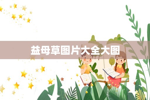 益母草图片大全大图