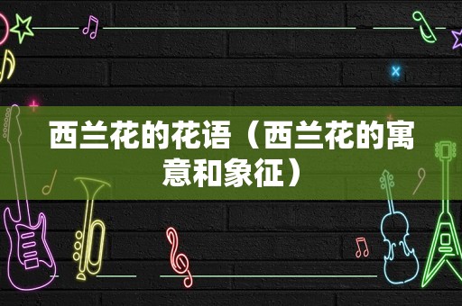 西兰花的花语（西兰花的寓意和象征）