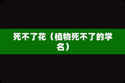 死不了花（植物死不了的学名）