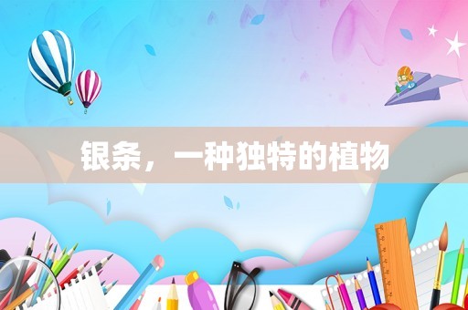 银条，一种独特的植物
