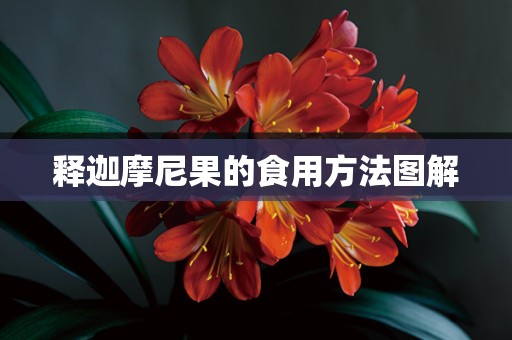 释迦摩尼果的食用方法图解