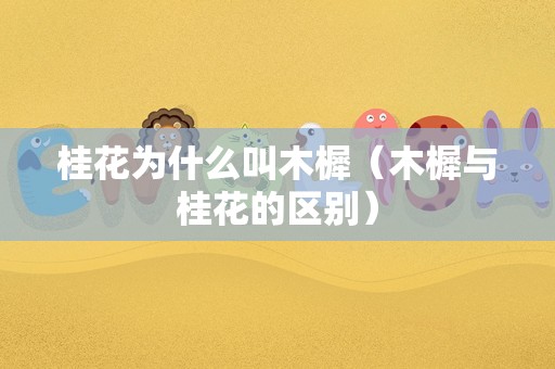 桂花为什么叫木樨（木樨与桂花的区别）