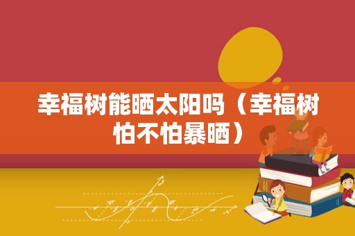 幸福树能晒太阳吗（幸福树怕不怕暴晒）