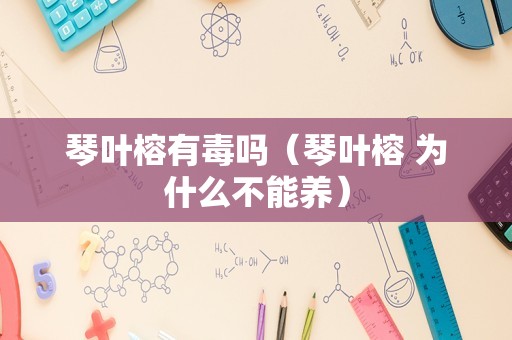 琴叶榕有毒吗（琴叶榕 为什么不能养）