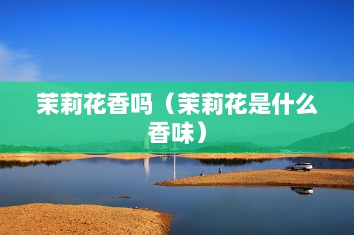 茉莉花香吗（茉莉花是什么香味）