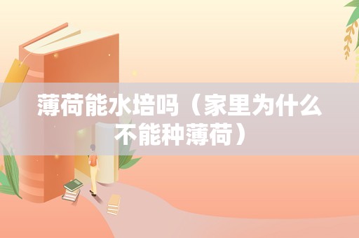 薄荷能水培吗（家里为什么不能种薄荷）