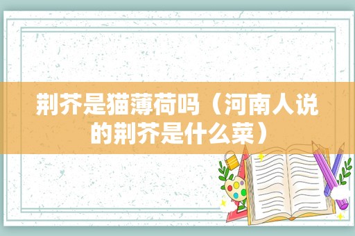 荆芥是猫薄荷吗（河南人说的荆芥是什么菜）