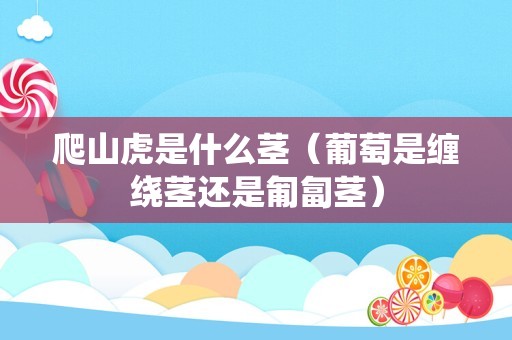 爬山虎是什么茎（葡萄是缠绕茎还是匍匐茎）
