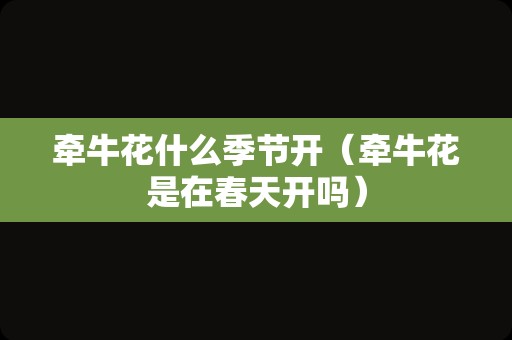 牵牛花什么季节开（牵牛花是在春天开吗）