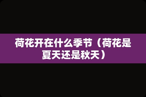 荷花开在什么季节（荷花是夏天还是秋天）