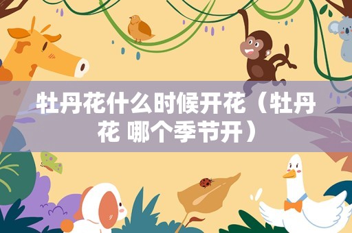 牡丹花什么时候开花（牡丹花 哪个季节开）
