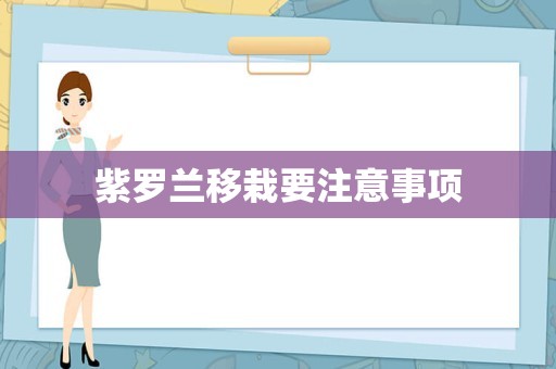 紫罗兰移栽要注意事项