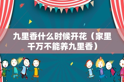 九里香什么时候开花（家里千万不能养九里香）
