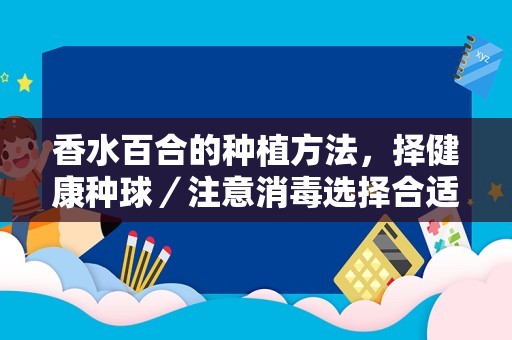 香水百合的种植方法，择健康种球／注意消毒选择合适盆土