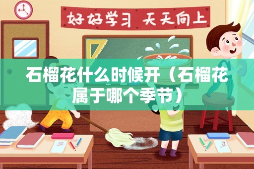 向日葵的气味（向日葵外形,颜色,气味）