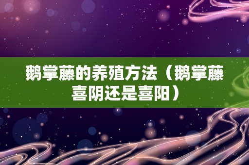 茉莉花是什么颜色（茉莉花的简谱）