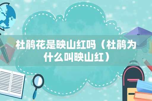 杜鹃花是映山红吗（杜鹃为什么叫映山红）