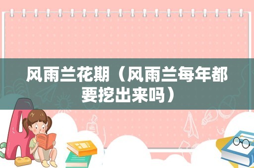 泡泡花（一个新手怎么开花店）