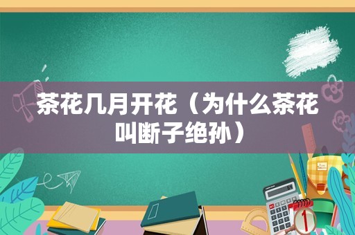 森林植物（森林里面有什么花草树木）