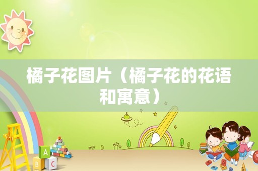 维管束植物（维管束图片）