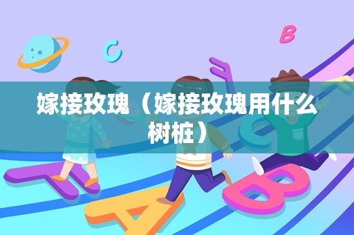 对叶榕果实能吃吗（对叶榕果实的功效与作用）