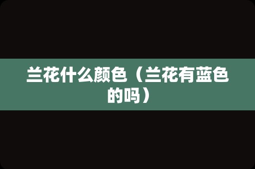 粉黛子（粉黛花朋友圈文案）