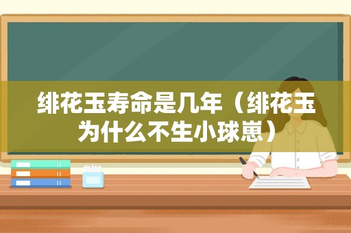 绯花玉寿命是几年（绯花玉为什么不生小球崽）