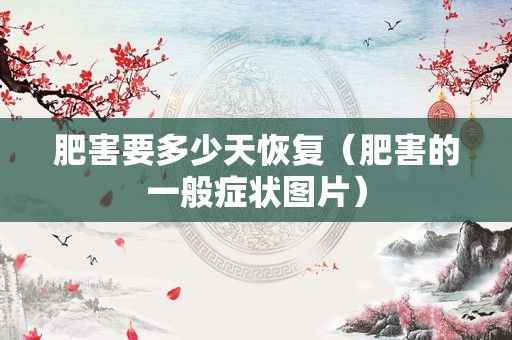 鸭治啄羽的土方法（鸭子啄毛的最佳方法）