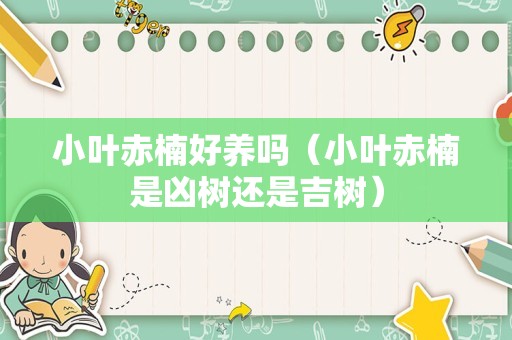蒲公英的花语（蒲公英的象征意义）