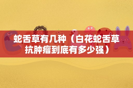 波斯菊怎么种（波斯菊的危害）
