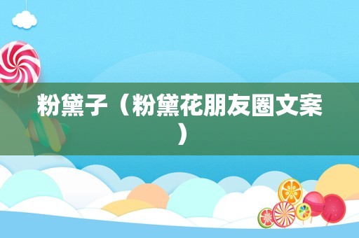 石榴花什么时候开（石榴花属于哪个季节）