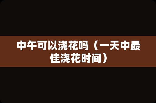 中午可以浇花吗（一天中最佳浇花时间）