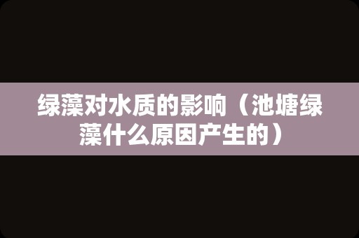 马蹄莲花语（马蹄莲为什么不能送人）