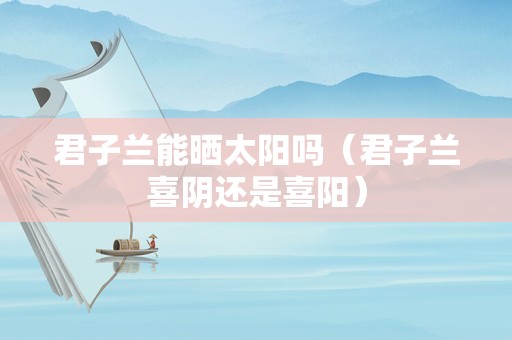 君子兰能晒太阳吗（君子兰喜阴还是喜阳）