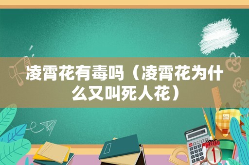 月季花扦插时间和方法（9月份扦插月季能活吗）