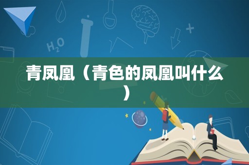 月见草的花语（月见草象征着什么意思）