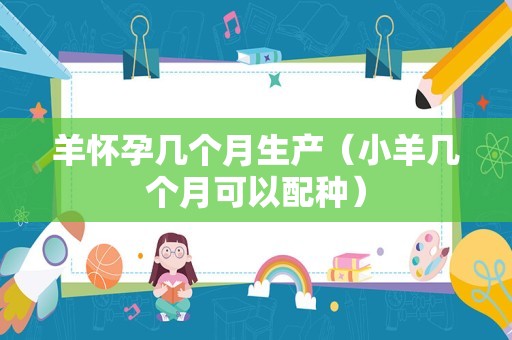 龙九红薯品种介绍（龙九红薯口感如何）