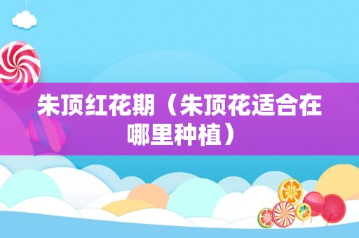 多肉换盆（多肉换盆的方法与技巧）