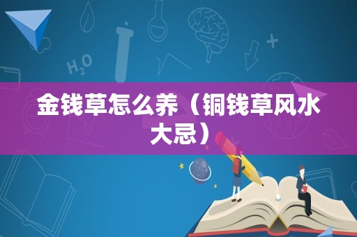 金钱草怎么养（铜钱草风水大忌）