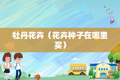 牡丹花卉（花卉种子在哪里买）