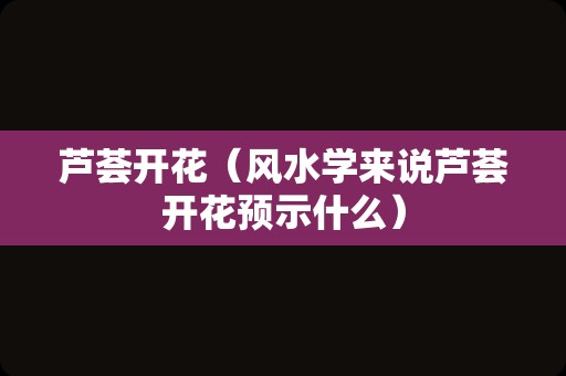 迎春花什么时候开（迎春花代表哪个季节）