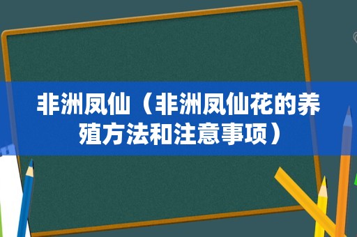 非洲凤仙（非洲凤仙花的养殖方法和注意事项）