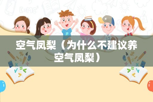 空气凤梨（为什么不建议养空气凤梨）