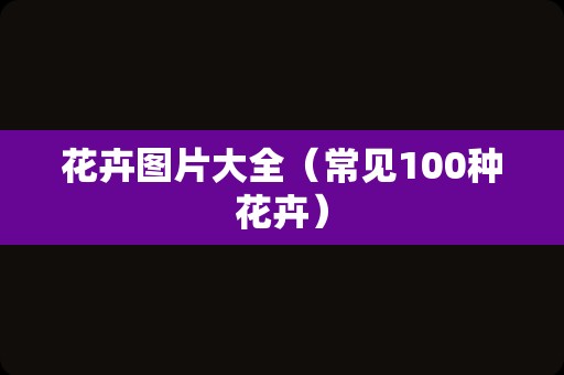花卉图片大全（常见100种花卉）