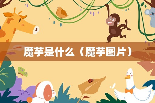 魔芋是什么（魔芋图片）
